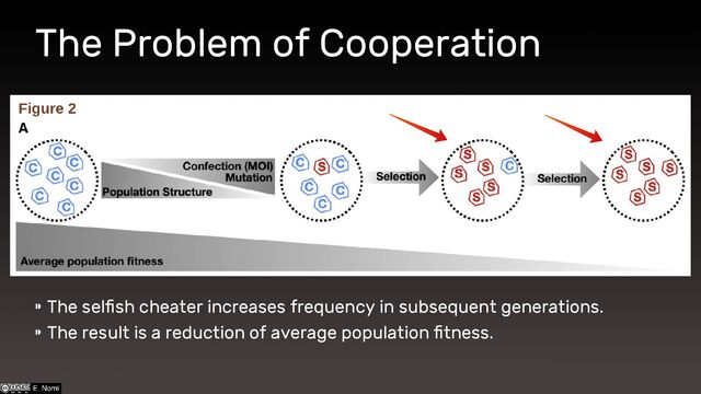 The Problem of Cooperation
⁍ The selfish cheater increases frequency in subsequent generations.
⁍ The result is a reduction of average population fitness.
