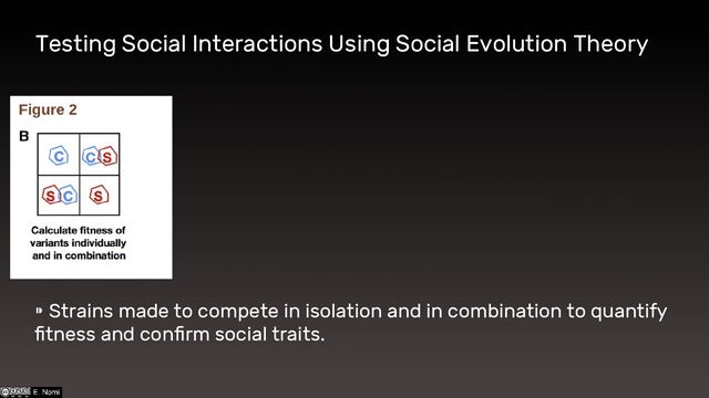 Testing Social Interactions Using Social Evolution Theory
⁍ Strains made to compete in isolation and in combination to quantify
fitness and confirm social traits.
