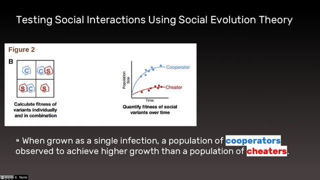 Testing Social Interactions Using Social Evolution Theory
⁍ When grown as a single infection, a population of cooperators
observed to achieve higher growth than a population of cheaters.
