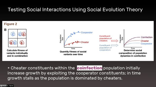 Testing Social Interactions Using Social Evolution Theory
⁍ Cheater constituents within the coinfection population initially
increase growth by exploiting the cooperator constituents; in time
growth stalls as the population is dominated by cheaters.
Constituent
population of
cheaters
Constituent
population of
cooperators
