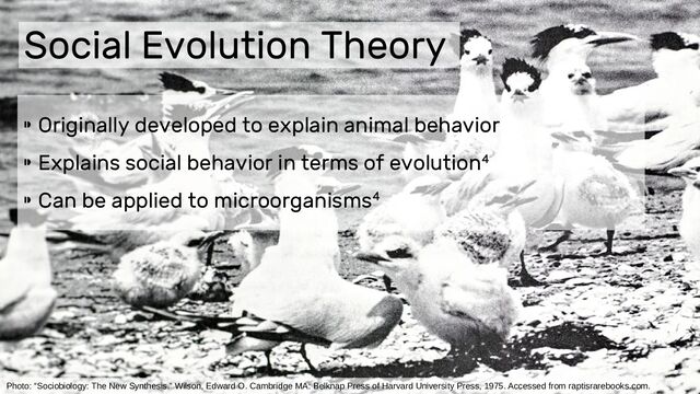 Social Evolution Theory
⁍ Originally developed to explain animal behavior
⁍ Explains social behavior in terms of evolution4
⁍ Can be applied to microorganisms4
Photo: “Sociobiology: The New Synthesis.” Wilson, Edward O. Cambridge MA: Belknap Press of Harvard University Press, 1975. Accessed from raptisrarebooks.com.
