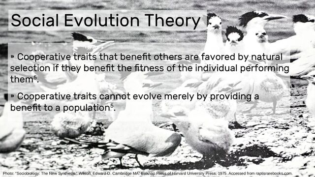 Social Evolution Theory
Photo: “Sociobiology: The New Synthesis.” Wilson, Edward O. Cambridge MA: Belknap Press of Harvard University Press, 1975. Accessed from raptisrarebooks.com.
⁍ Cooperative traits that benefit others are favored by natural
selection if they benefit the fitness of the individual performing
them5.
⁍ Cooperative traits cannot evolve merely by providing a
benefit to a population5.
