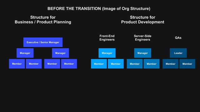 Executive / Senior Manager
Manager
Member Member
Structure for 
Business / Product Planning
Structure for 
Product Development
Manager
Member Member
Manager
Member Member
Manager
Member Member
Leader
Member Member
Front-End 
Engineers
Server-Side 
Engineers
QAs
BEFORE THE TRANSITION (Image of Org Structure)
