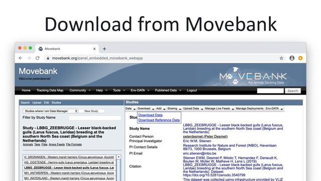 Download from Movebank

