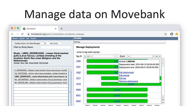 Manage data on Movebank

