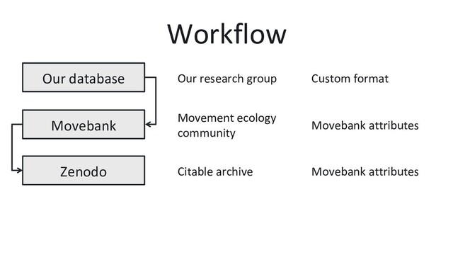 Workflow
Our database
Movebank
Zenodo
Custom format
Movebank attributes
Movebank attributes
Our research group
Movement ecology
community
Citable archive
