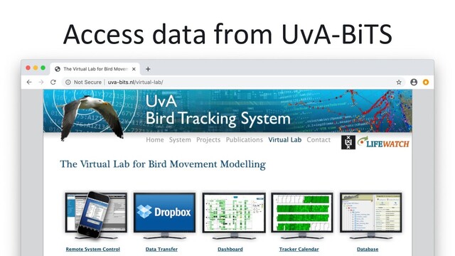 Access data from UvA-BiTS
