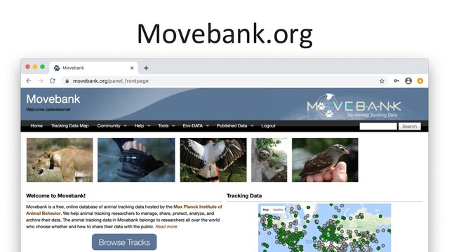 Movebank.org
