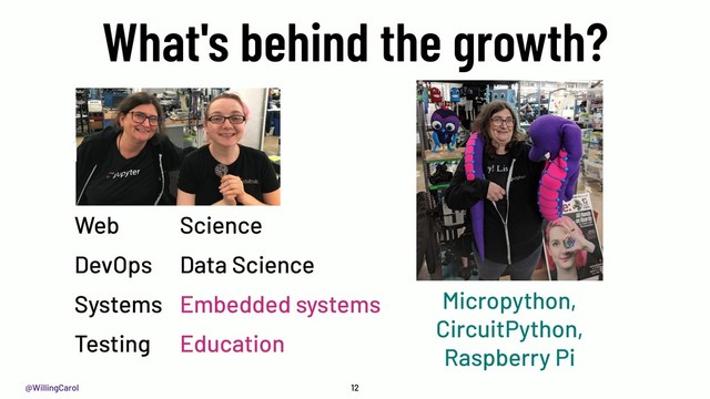 @WillingCarol 12
What's behind the growth?
Web
DevOps
Systems
Testing
Science
Data Science
Embedded systems
Education
Micropython,
CircuitPython,
Raspberry Pi
