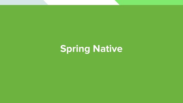 Spring Native
