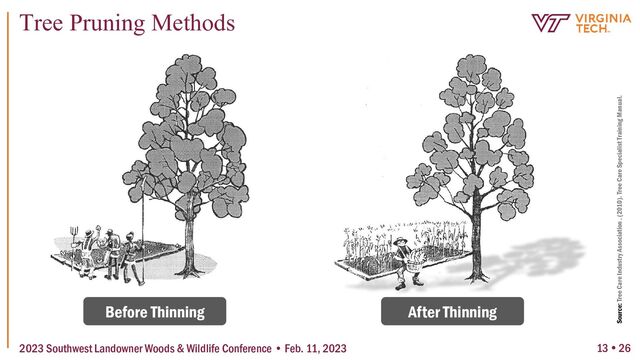 13  26
Tree Pruning Methods
2023 Southwest Landowner Woods & Wildlife Conference • Feb. 11, 2023
Before Thinning After Thinning
Source: Tree Care Industry Association . (2010). Tree Care Specialist Training Manual.
