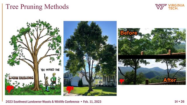 14  26
Tree Pruning Methods
2023 Southwest Landowner Woods & Wildlife Conference • Feb. 11, 2023
