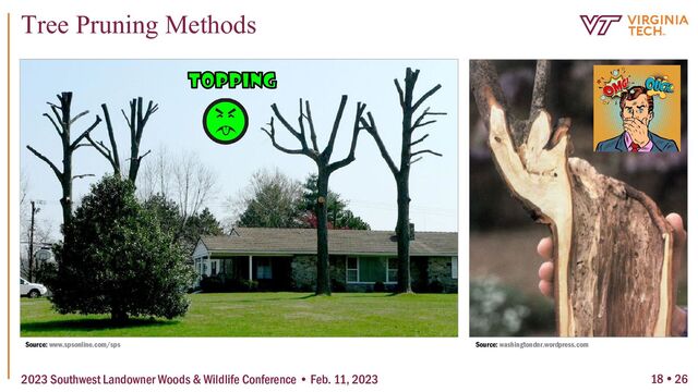 18  26
Tree Pruning Methods
2023 Southwest Landowner Woods & Wildlife Conference • Feb. 11, 2023
Source: www.spsonline.com/sps Source: washingtondnr.wordpress.com
