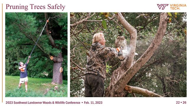 22  26
Pruning Trees Safely
2023 Southwest Landowner Woods & Wildlife Conference • Feb. 11, 2023
