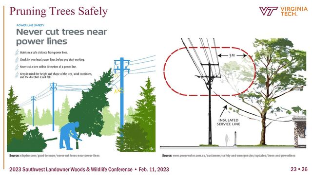 23  26
Pruning Trees Safely
2023 Southwest Landowner Woods & Wildlife Conference • Feb. 11, 2023
Source: nlhydro.com/good-to-know/never-cut-trees-near-power-lines Source: www.powerwater.com.au/customers/safety-and-emergencies/updates/trees-and-powerlines
