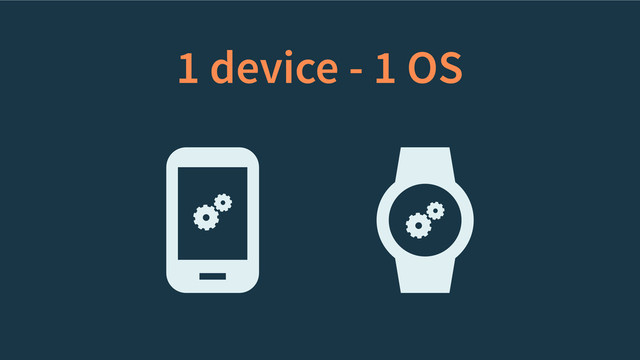 1 device - 1 OS
