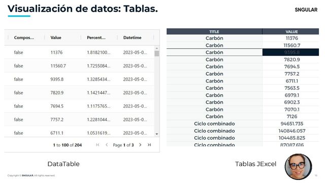 Copyright © SNGULAR. All rights reserved. 16
Visualización de datos: Tablas.
DataTable Tablas JExcel
