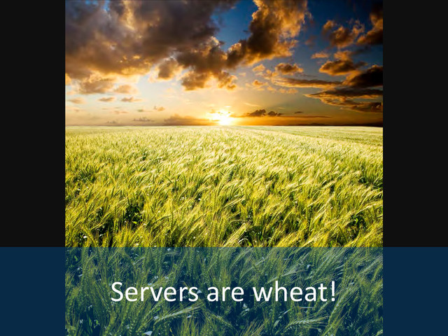 Servers are wheat!
