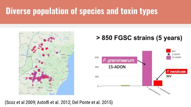 (Scoz et al 2009; Astolﬁ et al. 2012; Del Ponte et al. 2015)
> 850 FGSC strains (5 years)
Diverse population of species and toxin types
