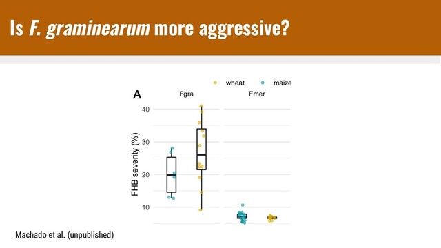 Machado et al. (unpublished)
Is F. graminearum more aggressive?
