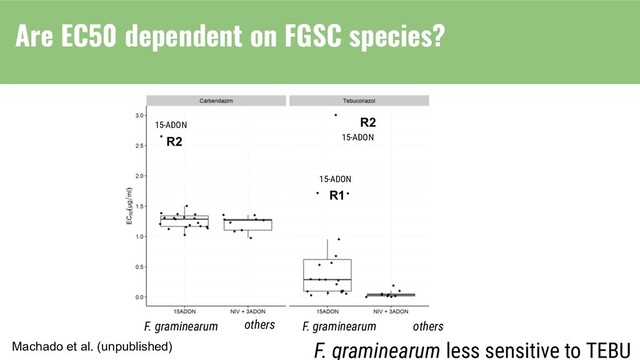 F. graminearum less sensitive to TEBU
Machado et al. (unpublished)
R2
R1
R2
F. graminearum others
F. graminearum others
15-ADON
15-ADON
15-ADON
Are EC50 dependent on FGSC species?
