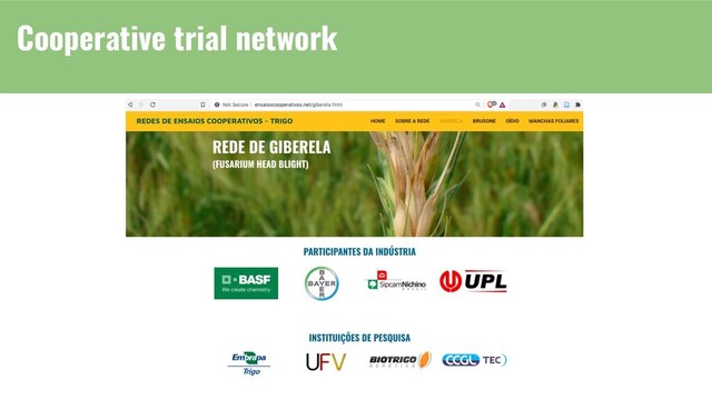 Cooperative trial network
