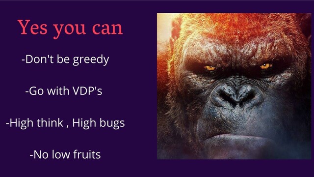 Yes you can
-Don't be greedy
-Go with VDP's
-High think , High bugs
-No low fruits
