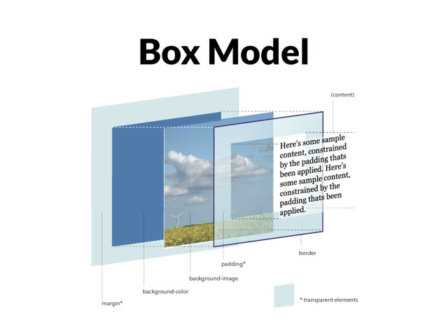 Box Model
