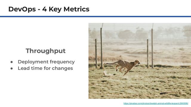 DevOps - 4 Key Metrics
Throughput
● Deployment frequency
● Lead time for changes
https://pixabay.com/photos/cheetah-animal-wildlife-leopard-2560006/
