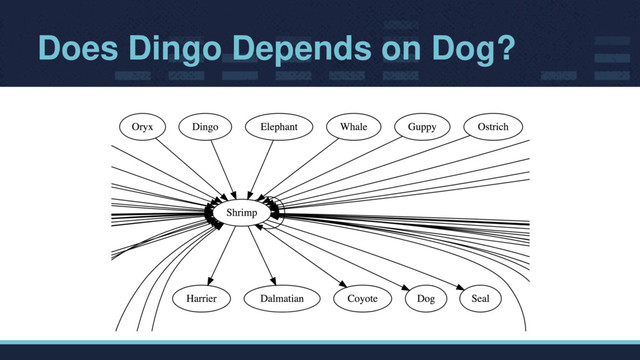 Does Dingo Depends on Dog?
