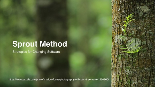 https://www.pexels.com/photo/shallow-focus-photography-of-brown-tree-trunk-1250260/
Sprout Method
Strategies for Changing Software
