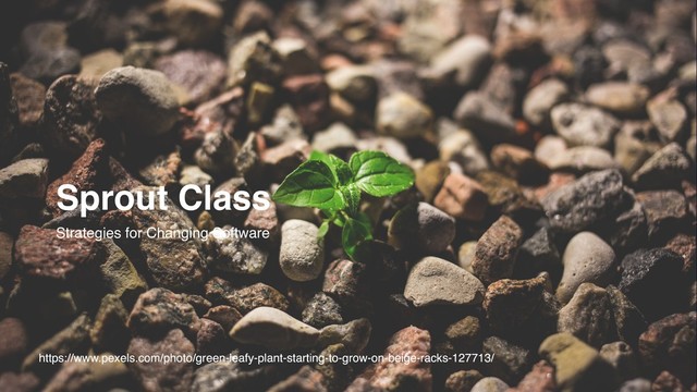 https://www.pexels.com/photo/green-leafy-plant-starting-to-grow-on-beige-racks-127713/
Sprout Class
Strategies for Changing Software
