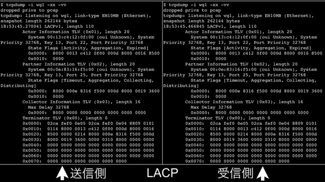 $ tcpdump -i wg1 -xx -vv
dropped privs to pcap
tcpdump: listening on wg1, link-type EN10MB (Ethernet),
snapshot length 262144 bytes
18:53:45.270041 LACPv1, length 110
Actor Information TLV (0x01), length 20
System 00:13:c4:12:0f:00 (oui Unknown), System
Priority 32768, Key 13, Port 22, Port Priority 32768
State Flags [Activity, Aggregation, Expired]
0x0000: 8000 0013 c412 0f00 000d 8000 0016 8500
0x0010: 0000
Partner Information TLV (0x02), length 20
System 00:0e:83:16:f5:00 (oui Unknown), System
Priority 32768, Key 13, Port 25, Port Priority 32768
State Flags [Timeout, Aggregation, Collecting,
Distributing]
0x0000: 8000 000e 8316 f500 000d 8000 0019 3600
0x0010: 0000
Collector Information TLV (0x03), length 16
Max Delay 32768
0x0000: 8000 0000 0000 0000 0000 0000 0000
Terminator TLV (0x00), length 0
0x0000: 02ca fef0 0e05 02ca fef0 0e04 8809 0101
0x0010: 0114 8000 0013 c412 0f00 000d 8000 0016
0x0020: 8500 0000 0214 8000 000e 8316 f500 000d
0x0030: 8000 0019 3600 0000 0310 8000 0000 0000
0x0040: 0000 0000 0000 0000 0000 0000 0000 0000
0x0050: 0000 0000 0000 0000 0000 0000 0000 0000
0x0060: 0000 0000 0000 0000 0000 0000 0000 0000
0x0070: 0000 0000 0000 0000 0000 0000
$ tcpdump -i wg1 -xx -vv
dropped privs to pcap
tcpdump: listening on wg1, link-type EN10MB (Ethernet),
snapshot length 262144 bytes
18:53:45.466845 LACPv1, length 110
Actor Information TLV (0x01), length 20
System 00:13:c4:12:0f:00 (oui Unknown), System
Priority 32768, Key 13, Port 22, Port Priority 32768
State Flags [Activity, Aggregation, Expired]
0x0000: 8000 0013 c412 0f00 000d 8000 0016 8500
0x0010: 0000
Partner Information TLV (0x02), length 20
System 00:0e:83:16:f5:00 (oui Unknown), System
Priority 32768, Key 13, Port 25, Port Priority 32768
State Flags [Timeout, Aggregation, Collecting,
Distributing]
0x0000: 8000 000e 8316 f500 000d 8000 0019 3600
0x0010: 0000
Collector Information TLV (0x03), length 16
Max Delay 32768
0x0000: 8000 0000 0000 0000 0000 0000 0000
Terminator TLV (0x00), length 0
0x0000: 02ca fef0 0e05 02ca fef0 0e04 8809 0101
0x0010: 0114 8000 0013 c412 0f00 000d 8000 0016
0x0020: 8500 0000 0214 8000 000e 8316 f500 000d
0x0030: 8000 0019 3600 0000 0310 8000 0000 0000
0x0040: 0000 0000 0000 0000 0000 0000 0000 0000
0x0050: 0000 0000 0000 0000 0000 0000 0000 0000
0x0060: 0000 0000 0000 0000 0000 0000 0000 0000
0x0070: 0000 0000 0000 0000 0000 0000
ૹ৴ଆ ड৴ଆ
LACP
