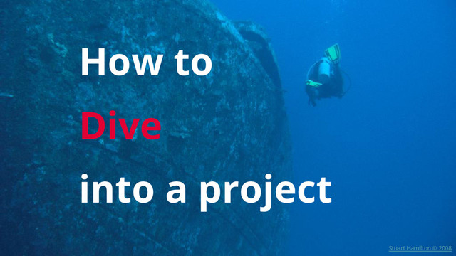 How to
Dive
into a project
Stuart Hamilton © 2008
