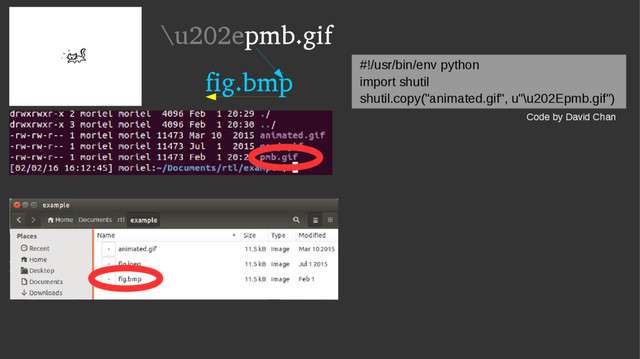 \u202epmb.gif
fig.bmp
#!/usr/bin/env python
import shutil
shutil.copy("animated.gif", u"\u202Epmb.gif")
Code by David Chan
