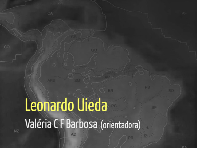 Leonardo Uieda
Valéria C F Barbosa (orientadora)
