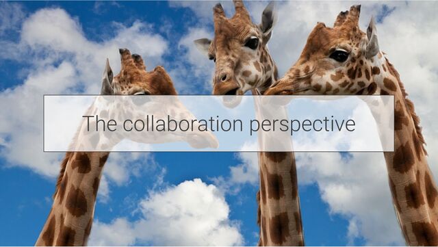 The collaboration perspective
