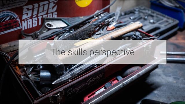 The skills perspective
