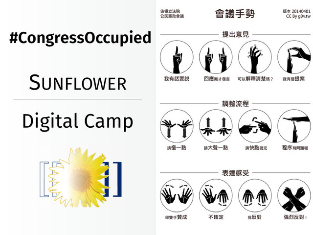 SUNFLOWER
Digital Camp
#CongressOccupied
