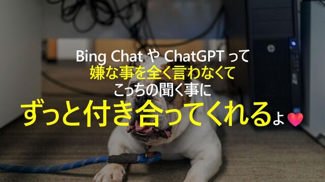 Bing Chat や ChatGPT って
嫌な事を全く言わなくて
こっちの聞く事に
ずっと付き合ってくれるよ
