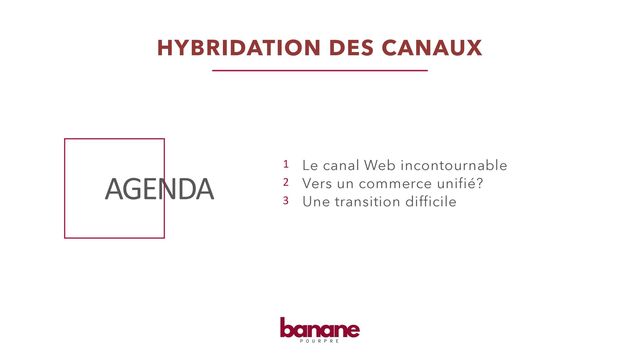 AGENDA
HYBRIDATION DES CANAUX
Le canal Web incontournable
Vers un commerce unifié?
Une transition difficile
1
2
3
