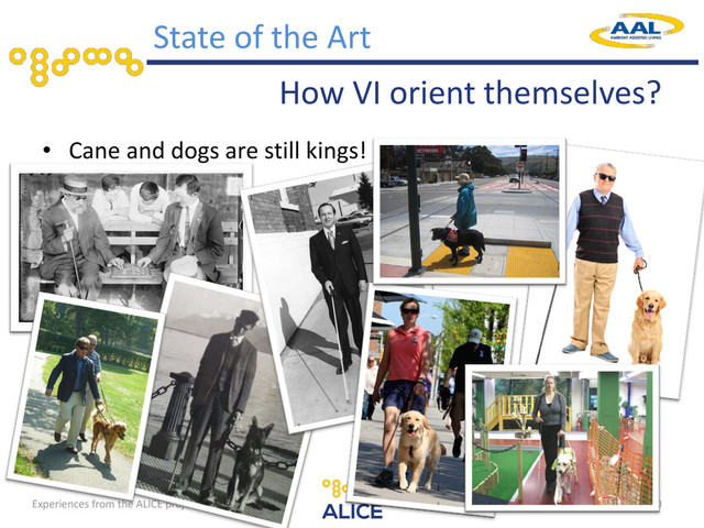 Experiences from the ALICE project
How VI orient themselves?
• Cane and dogs are still kings!
10
State of the Art
