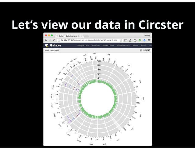 Let’s view our data in Circster
39
