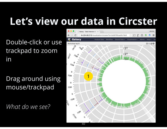 Let’s view our data in Circster
40
•
Double-click or use
trackpad to zoom
in
•
Drag around using
mouse/trackpad
•
What do we see?
1

