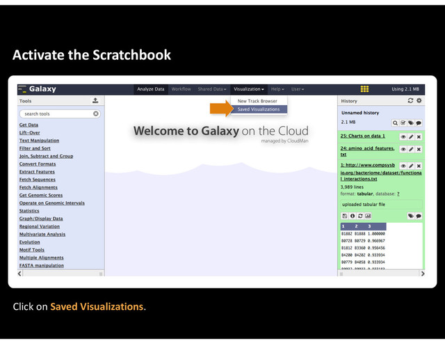 Activate&the&Scratchbook
Click&on&Saved&Visualizations.
