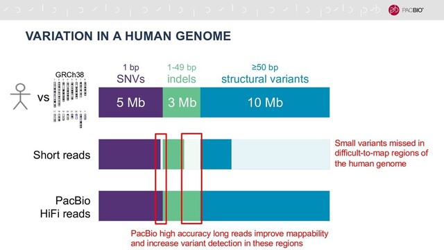 VARIATION IN A HUMAN GENOME
5 Mb 3 Mb 10 Mb
1 bp
SNVs
≥50 bp
structural variants
1-49 bp
indels
Short reads
PacBio high accuracy long reads improve mappability
and increase variant detection in these regions
Small variants missed in
difficult-to-map regions of
the human genome
vs
GRCh38
PacBio
HiFi reads
