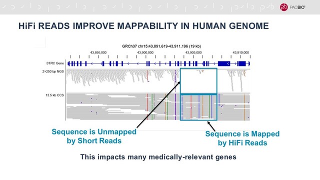 HiFi READS IMPROVE MAPPABILITY IN HUMAN GENOME
This impacts many medically-relevant genes
