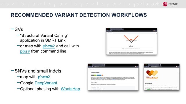 -SVs
-“Structural Variant Calling”
application in SMRT Link
-or map with pbmm2 and call with
pbsv from command line
-SNVs and small indels
-map with pbmm2
-Google DeepVariant
-Optional phasing with WhatsHap
RECOMMENDED VARIANT DETECTION WORKFLOWS
