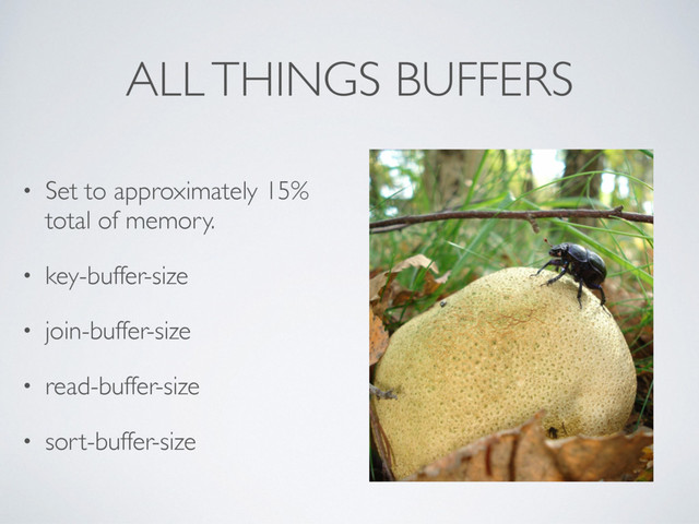 ALL THINGS BUFFERS
• Set to approximately 15%
total of memory.
• key-buffer-size
• join-buffer-size
• read-buffer-size
• sort-buffer-size
