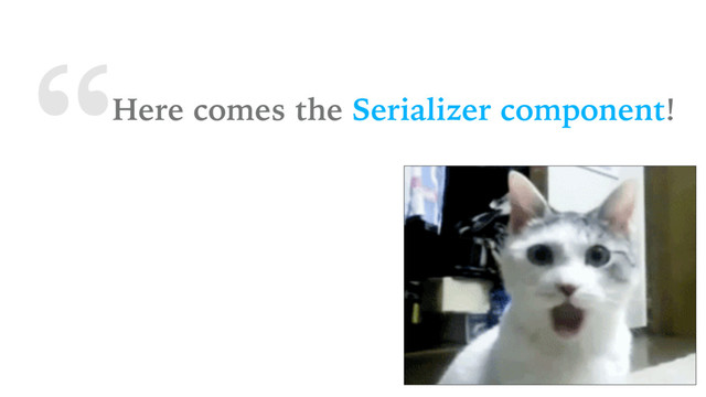 “Here comes the Serializer component!
